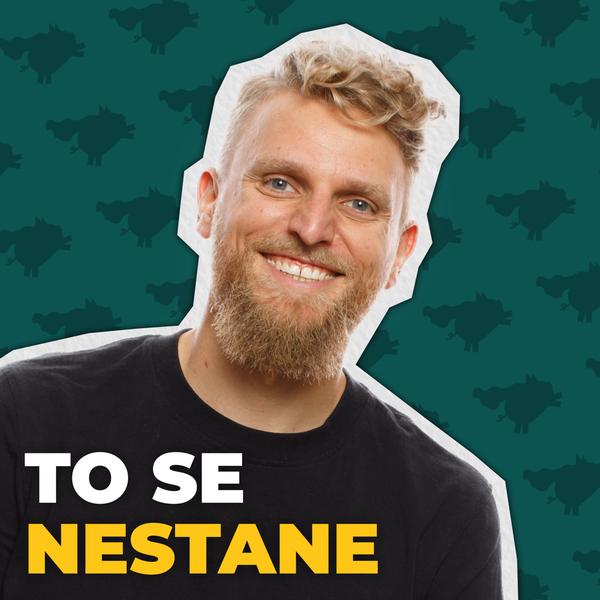 Rozbité prasátko